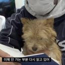 다팡
