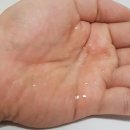 두레생협 한방 에센셜 샴푸 (제품 정보 및 사용 리뷰)