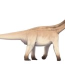 알라모사우루스 이미지