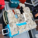 애자네소머리국밥 | 생초보의 오천항 팀베테랑호 주꾸미(쭈꾸미) 선상낚시 입문 후기