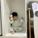 센트럴아동병원 | 돌아기 설사 씨디피실 클로스트리디움 디피실리균 장염 증상 치료 @동탄 센트럴아동병원 입원 후기