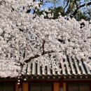 숨골공원 이미지