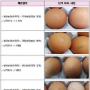 의성계란 이미지