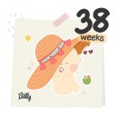 [임신 일기] 38주 마지막 햄찌맘 일기