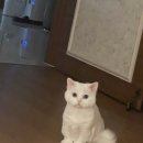 마린파크 동물병원 이미지