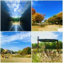 산책 - 노을공원 공공미술 프로젝트 무료조각전 관람