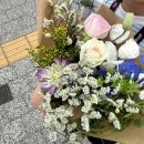🌸 대전 도안동 꽃집 밀라플로라 | 파스텔톤 오늘의 추천 꽃다발 선물 후기