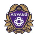 네이션 | [FC안양] 파이널라운드 FC안양 vs 울산HD 아워네이션 직관 후기