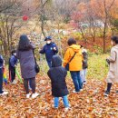 회문산자연휴양림 이미지