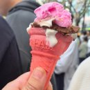 세븐일레븐 진해이동행복점 | 창원가볼만한곳 2026 진해군항제 후기 (SNS에서 유행하는 음식은 맛있을까)