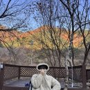 캠핑기록🏕️ 제철음식과 함께한 가을 단풍캠핑(담터오지캠핑장)