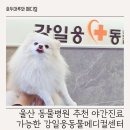 강일웅동물메디컬센터 네이버블로그