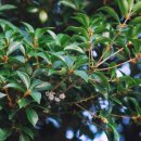 대전유성우체국 이미지