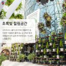 허브힐링가든 이미지