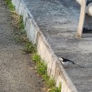 삼가면사무소 이미지