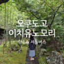 유노 | 마쓰야마 오쿠도고 이치유노모리 석식 후기 🍣✨셔틀버스까