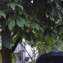 #9. 슈트패브릭 수원점 촬영 예복 그레이정장 촬영 후기