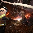 대원1리 이미지