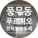 3009 | 풍무동 푸르지오 25평｜전체 실크도배 시공 후기 (KS벽지 이룸 2124-1,3009-29)