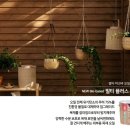 오일플러스 이미지