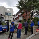 봉래2동-2 이미지