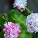 밝은미소스토어 이미지