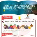 허니소농장 Daum카페