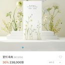 살롱드, 왈 | 셀프청첩장 비즈하우스 2단 청첩장 제작 후기 #할인꿀팁