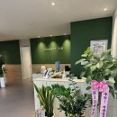 크로스핏 강동 | [크로스핏 로우 강동/드랍인 후기] 강동구 크로스핏, 강철부대W 이수연 코치님 영접 가능한 &#39;크로스핏...