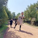 애월 in 민박 이미지