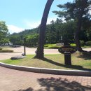 용의발광장 Daum카페