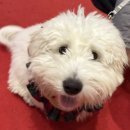 연화공원 영화의전당 | 부산 영화의전당 크리스마스 빌리지 산타마을 주차장 꿀팁