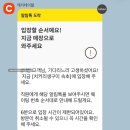 치커리생구이 | 강원도 속초 맛집 치커리생구이 솔직 후기 방문팁