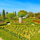 정원카페 | 양평 그린망고 튤립축제 대형 정원카페 후기