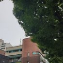 백제추어탕 이미지