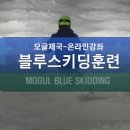 [동영상] 모글제국 온라인 강좌 - 블루스키딩 (blue skidding) 이미지