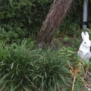 물맑음 펜션 이미지