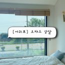 삼달다방 | 제주 서귀포 성산읍 가성비 감성 숙소 오챠드삼달