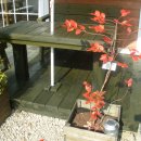 블루베리펜션 이미지