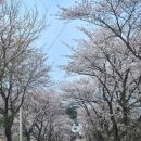 서익산농협웅포지점 이미지