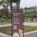 서울 전시 - 국립중앙박물관 그리고 카카오프렌즈, 후기 기록