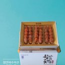 미산농원 이미지