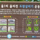 율리천 이미지