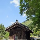 [사찰] 강월도 영월군 보덕사 방문 후기 🪷