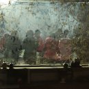 달콤한 오후 이미지