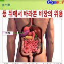 농수로와 저수지~비장과 콩팥 그리고 신장 이식 수술 이미지