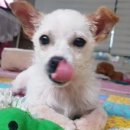 동석농장 이미지