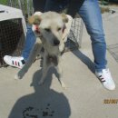 동해역길 이미지