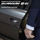 아우디 A6 전용 문콕방지 가디언 도어가드 GP-01 시공 후기