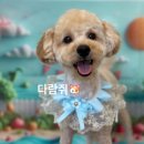멍마실 이미지